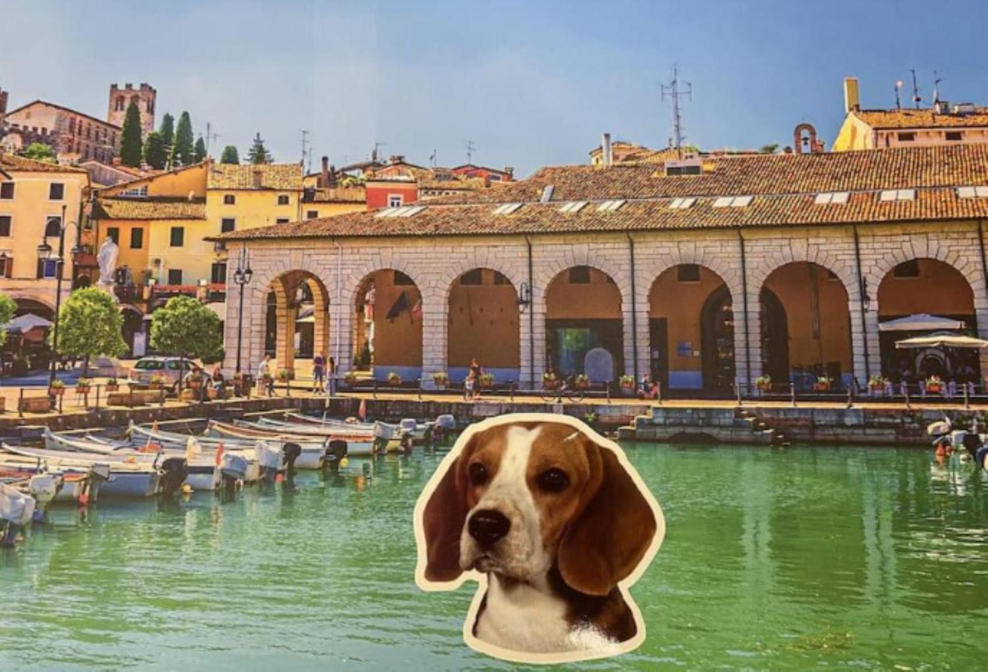 Desenzanoloft Official Partner Marriott Homes & Villas - Jack'S Penthouse Desenzano del Garda Luaran gambar
